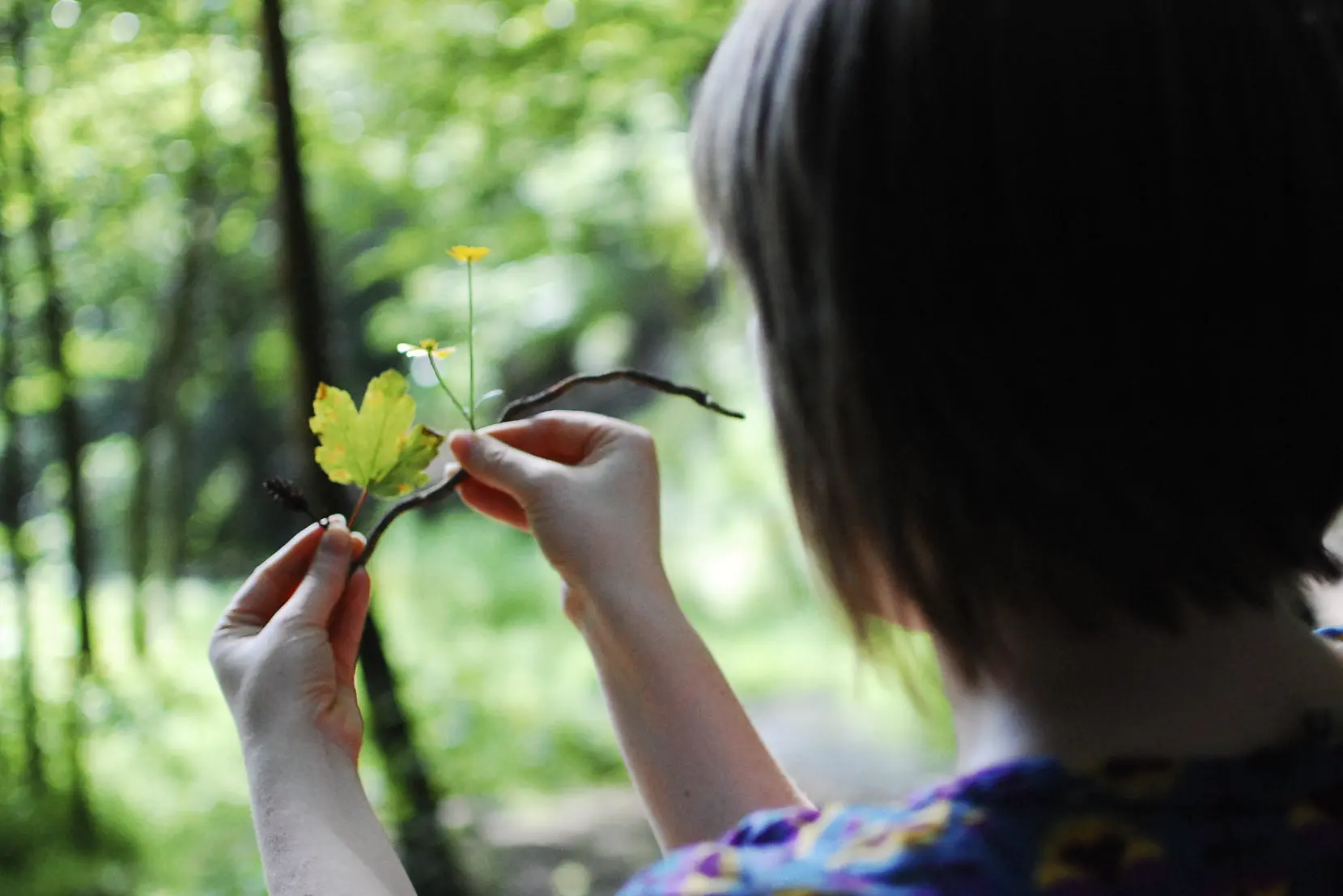 A woman holds up a scattering of twigs, leaves and wildflowers to see what she can make of them.