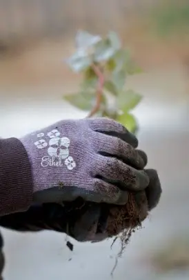 Closing Business Locations