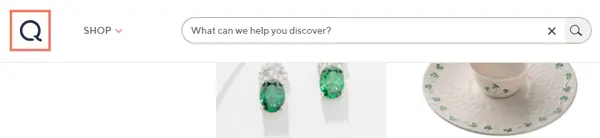 Screenshot of the QVC website search bar.