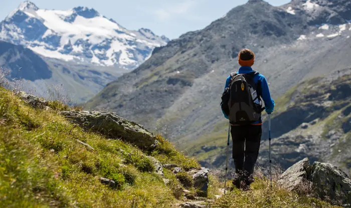 Hiker on a grassy slope looking at a snow-covered mountain.