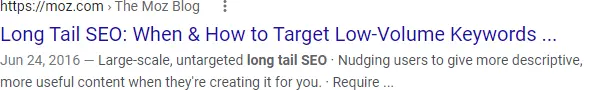 Google search result for long tail SEO search.