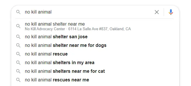 An image of a Google search for 'no kill animal'