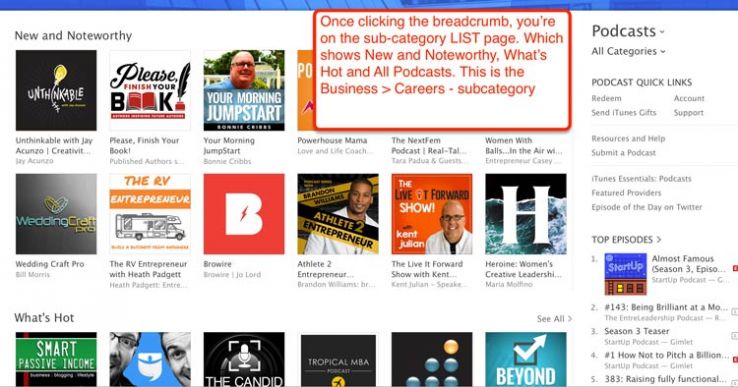 The business-careers subcategory in iTunes.